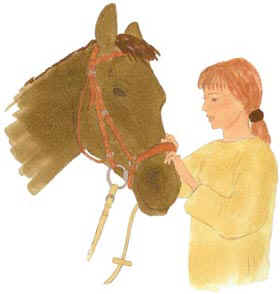 Aufzäumen 5