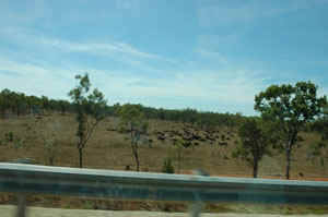 Northern Territory