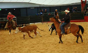 Cutting Equitana