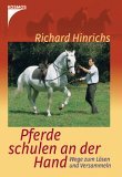 Pferde schulen an der Hand